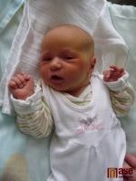 Dianka Surkovová se narodila Marii Surkovové 2. dubna 2011.