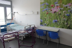 Českolipská nemocnice slavnostně otevřela rekonstruované pokoje pro matky s novorozenci