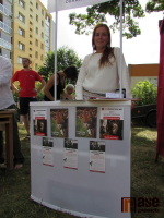 Putovní tatrhy na jabloneckém sídlišti Mšeno