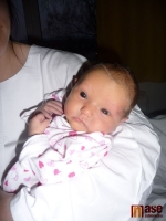 Stelinka Wieserová se narodila 14. dubna 2011 mamince Heleně Liškové.