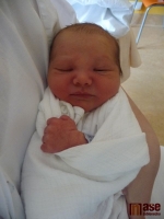 Mamince Lence Bittnerové se 16. dubna 2011 narodila malá Eliška Bittnerová. 