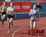 Atletika na Olympiádě dětí a mládeže