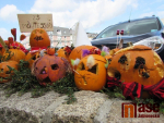 Podzimní slavnosti v Jablonci nad Nisou 2019