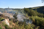 Požár lesního porostu u Železného Brodu