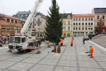 Stavění vánočního stromu na jabloneckém náměstí