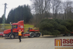 Převoz a instalace tanvaldského vánočního stromu