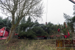 Převoz a instalace tanvaldského vánočního stromu