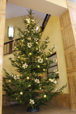Vánoční stromek na jablonecké radnici