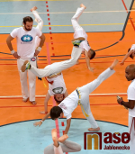 Seminář capoeiry v jablonecké sportovní hale