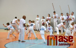 Seminář capoeiry v jablonecké sportovní hale