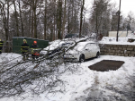 Spadlý strom poničil osobní auta