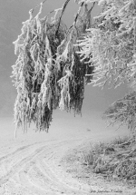 Lednová mrazivá inverze nad Maršovicemi