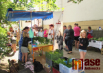 Farský trh v Jablonci nad Nisou 2020