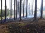 Požár lesní hrabanky v Jirkově