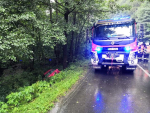 Dopravní nehoda v lesním úseku mezi Pulečným a Kokonínem