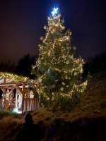 Jindřichovický vánoční strom a betlém