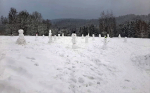 20 sněhuláků za mateřskou školku v ulici Arbesova
