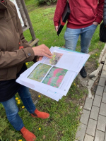 Prezentace a vizualizace rekonstrukce parku v Jabloneckých Pasekách