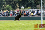 Utkání Mol cupu FK Velké Hamry - FK Ústí nad Labem