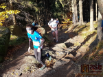 Běžecký závod Janovských 11 a 19 km