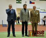 Jablonecká hala 2022 - Petr Tulpa, Jiří Čeřovský a Dušan Molitoris
