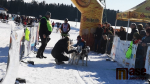 Mistrovství České republiky v závodech psích spřežení 2022