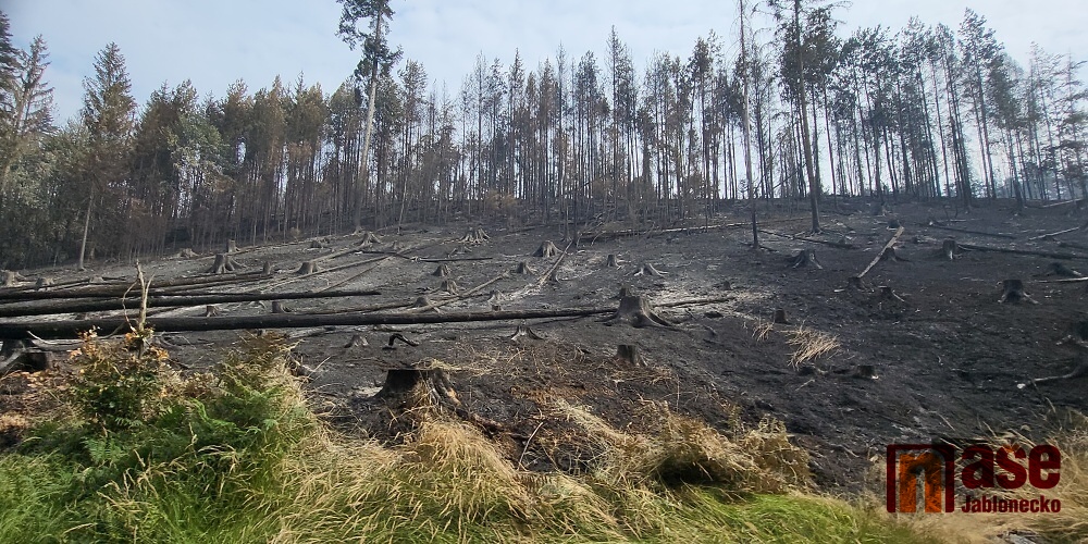 Zásah hasičů v okolí Hřenska při rozsáhlém lesním požáru<br />Autor: Rudolf Kožený