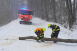 Další sníh opět zaměstnal hasiče, odstraňují stromy i vytahují auta