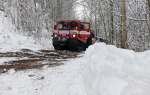 Nový sníh a vítr v kraji porážely stromy a zapříčinily nehody