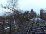 Popadané stromy v Libereckém kraji