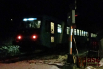 Spadlý strom před stanicí v Malé Skále způsobil zpoždění vlaků na trati Liberec - Pardubice