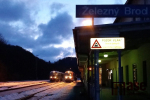 Spadlý strom před stanicí v Malé Skále způsobil zpoždění vlaků na trati Liberec - Pardubice