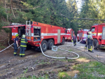 Zásah hasičů při požáru lesa v jabloneckých Břízkách