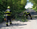 Odstrańování stromu Příšovice u Turnova