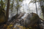 Hasiči likvidovali lesní požáry u Frýdštejna a v Ralsku