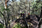Hasiči likvidovali lesní požáry u Frýdštejna a v Ralsku