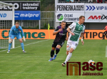 FK Jablonec - SK Slavia Praha 1:1 (1:0)