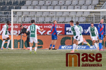 FK Jablonec - FC Viktoria Plzeň 3:3 (2:2)