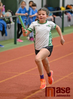 Krajské přebory nejmladšího žactva Libereckého kraje