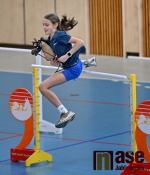 24. CZECH HOBBY HORSING TOUR