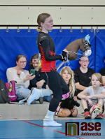 24. CZECH HOBBY HORSING TOUR