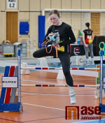 24. CZECH HOBBY HORSING TOUR