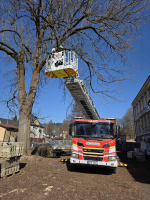 Záchrana vzácného papouška Kakadu alba v Kokoníně