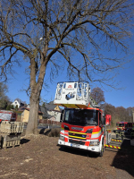 Záchrana vzácného papouška Kakadu alba v Kokoníně