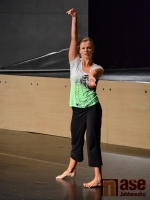 Léto tančí 2011