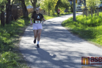 86639/prev_1777974588__DSC8878_kopie.jpg