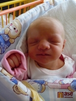 Také 11. července 2011 přišla na svět mamince Žanetě Bínové dcerka Sofinka Bínová.