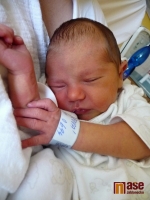 Obrazem: nově narozená miminka 14. - 19. července 2011